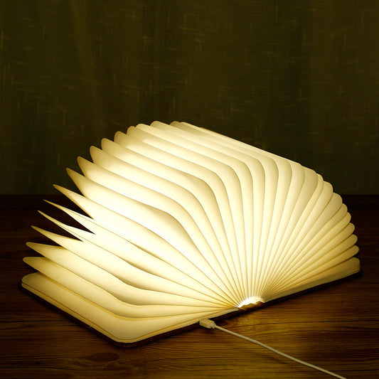 Book Desk Light